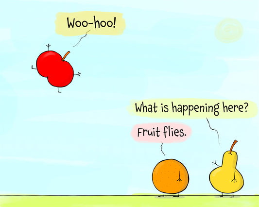 Funny Pun With Flying Red Apple Orange and Fruit Flies Accent Coffee Mug 11oz
