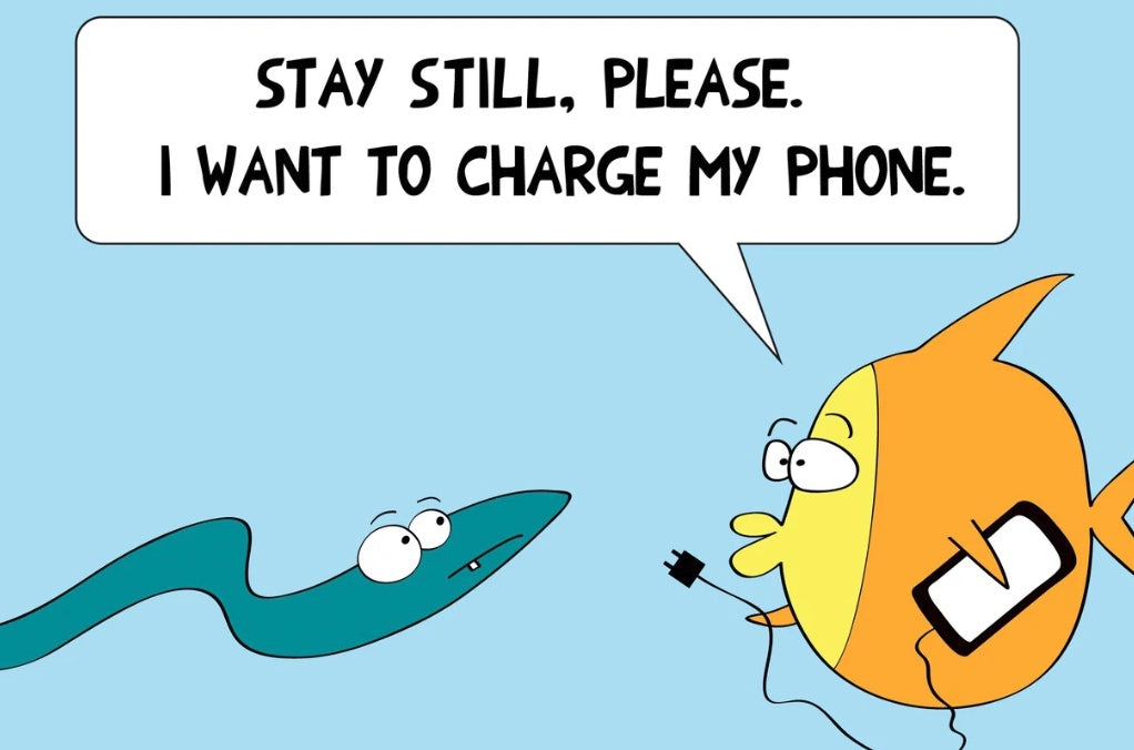 Joke With Electric Eel And The Silly Fish Charging A Cell Phone In The Coffee House cartoon print